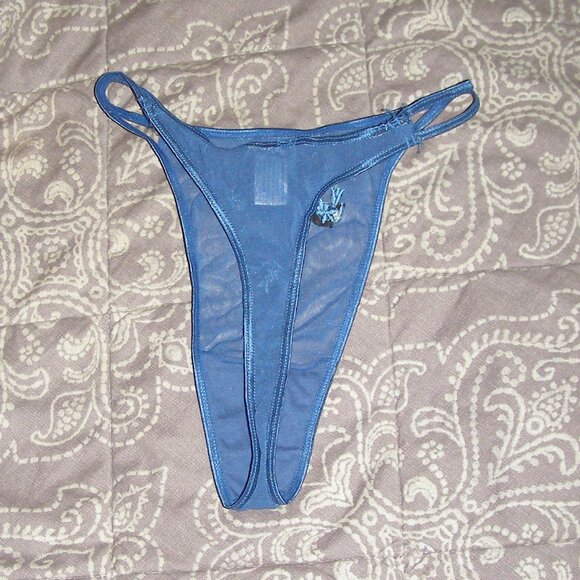 NWOT size Small Stretchy Sheer Thong Cute Blue Floral Embroidery - Picture 3 of 8